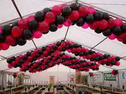 Malatya Çiçekçileri - Malatya dügün organizasyonu ve sünnet dügünü balon süsleme